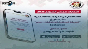 تنزيل التطبيق .. دليلك السهل لتحميل تطبيق الهيئة الوطنية للانتخابات بسرعة وسلاسة